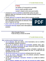 Curs 4 - Proprietatile Fluidelor de Foraj