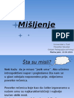 Opća Psihologija II Prezentacija - Mišljenje