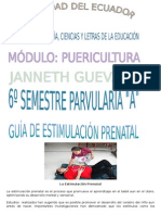 Guiadejjjjjjestimulacinprenatal 120202183235 Phpapp01