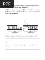 Worksheet Dna Class 12