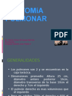 Clase de Radiologia Segmentos Pulmonares