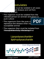 Important Bacterial Structure and Gene Transfer