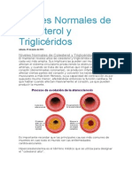 Niveles Normales de Colesterol y Triglicéridos