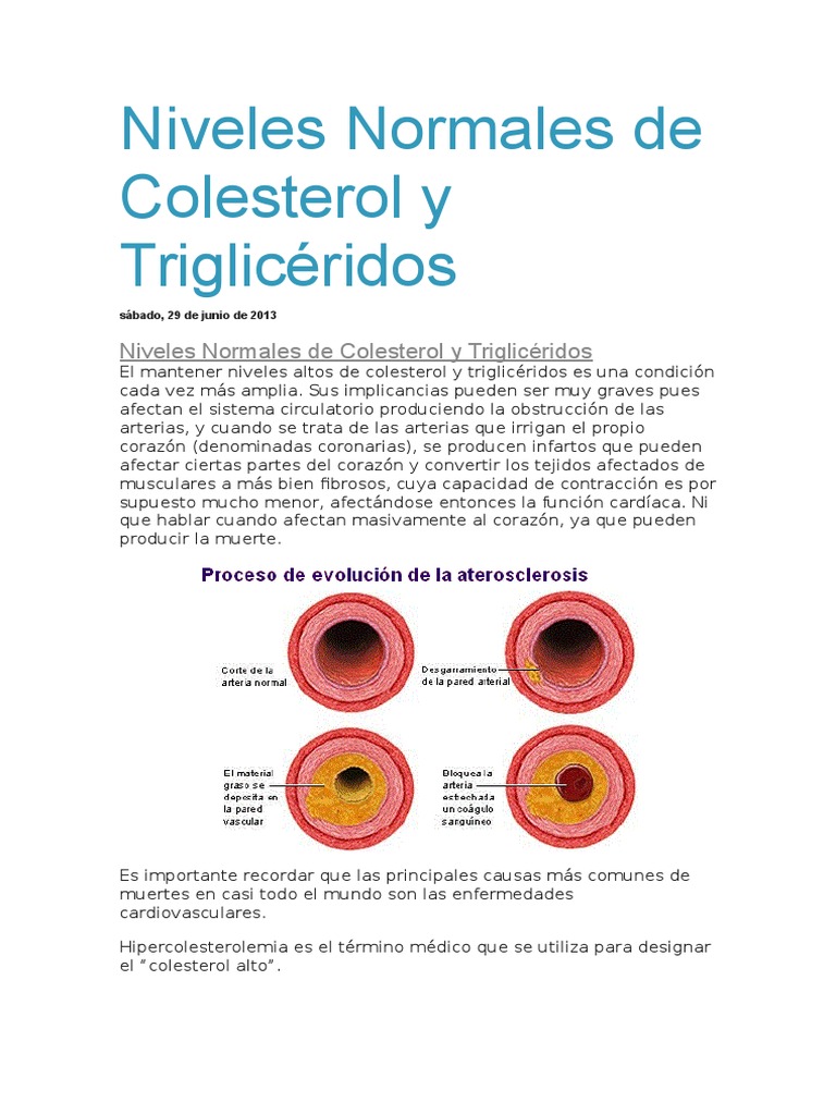 Niveles Normales de Colesterol y Triglicéridos Hipercolesterolemia Colesterol