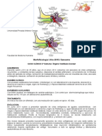 Caso Clinico Oido 2015-I