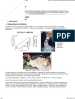 Cueronet, Flujograma Del Proceso Del Cuero - Descarnado