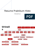 Praktikum Histo Vesalius GIT