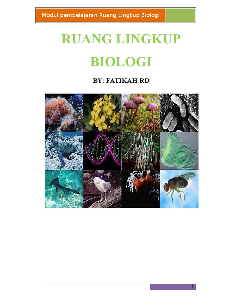 Ruang Lingkup Biologi Beserta Objek Kajian Amp Penjelasannya Lengkap