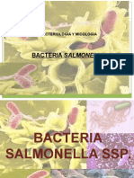 Exposicion de Salmonella