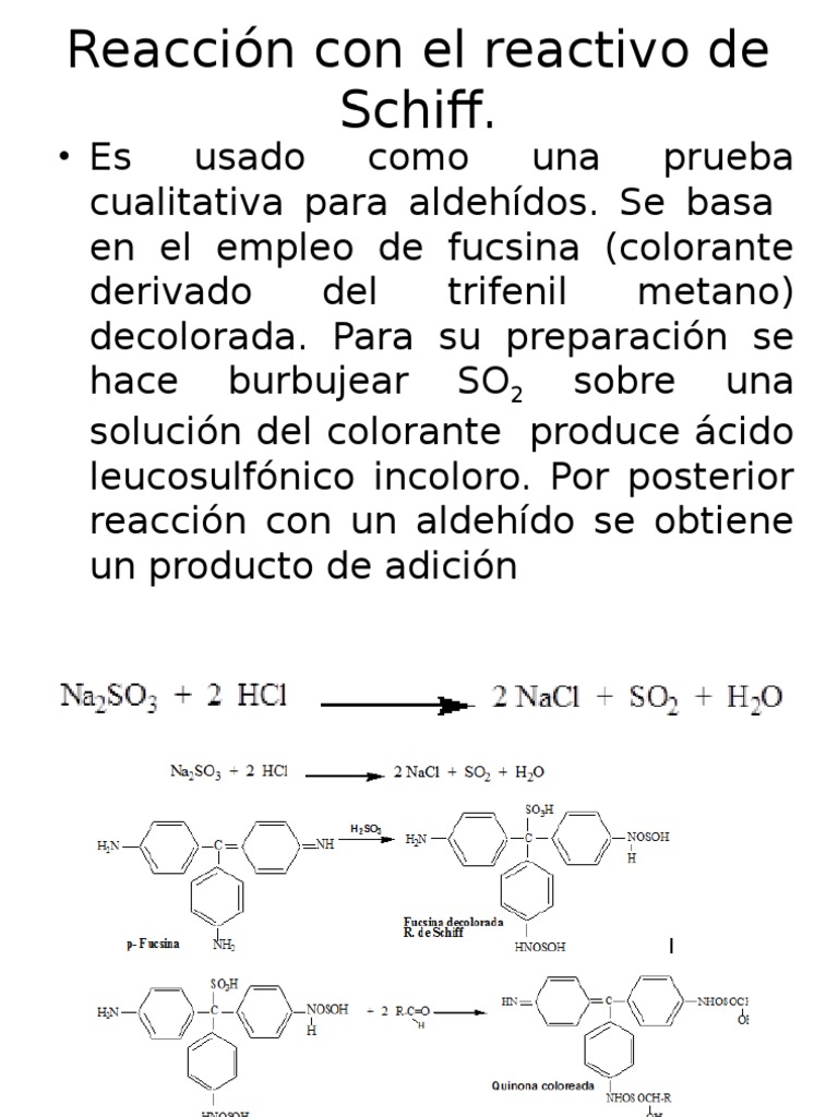 Reacción Con El Reactivo de Schiff PDF — free download