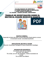 Trabajo Del Chaure - Pps