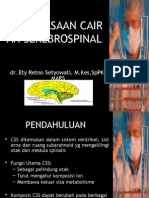 Cairan Serebrospinal