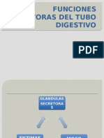 Funciones Secretoras Del Tubo Digestivo