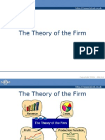 Theory of Firm & Costs