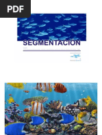 Segmentacion Geografica