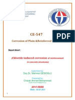 Second Chloride Induced Report Corrosion