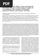 Nuclear SDH2-1 and SDH2-2 Genes, Encoding The Ironsulfur Subunit of Mitochondrial Complex II in Arabidopsis, Have Distinct Cell-Specific Expression Patterns and Promoter Activities