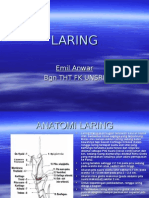 Emil-LARING kul.1.ppt