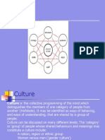 CH 3 Culture PDF