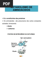 175200_aula 9 Metabolismo de Aminoácidos