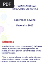 Infeccao Urinaria Aula Resumo