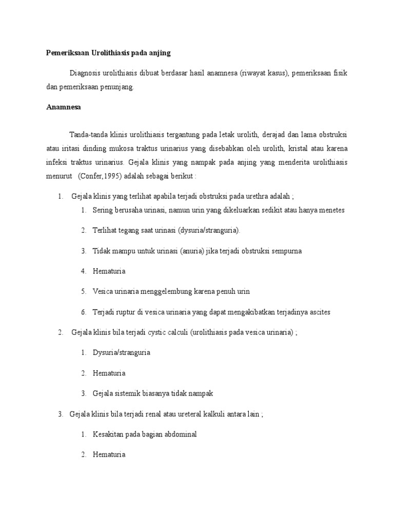 Diagnosis Urolithiasis Anjing Word 2003