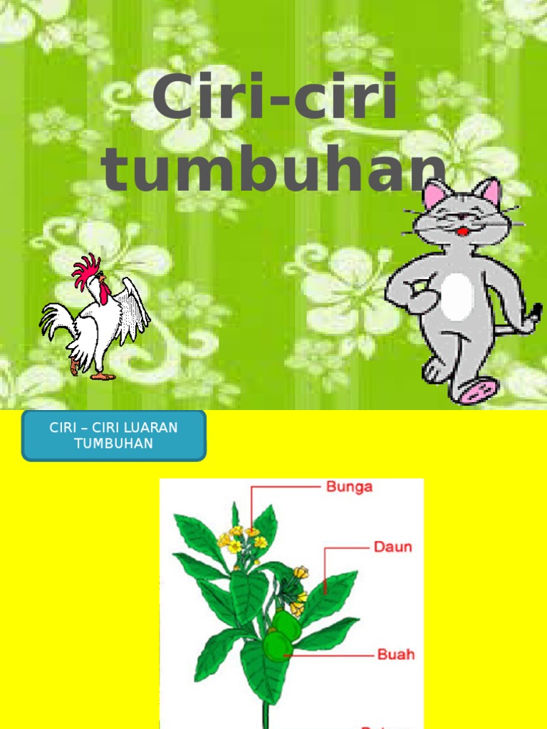 Ciri Ciri Tumbuhan Pdf