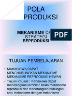 Mekanisme Reproduksi PDF