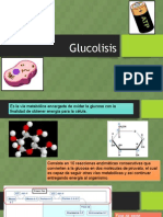 Glucolisis