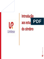 Introdução ao cérebro e neurociência