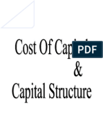 Cost of Capital and Capital Structure