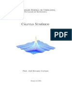 Calculo numerico_Jose Eduardo Castilho.pdf