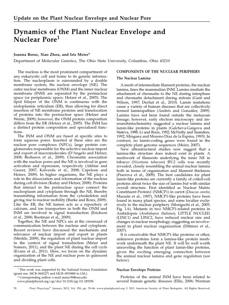Dynamics of The Plant Nuclear Envelope and Nuclear Pore | PDF | Cell ...