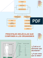 Biomoléculas Inorgánicas y Organicas 