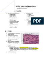 Resumo Sistema Reprodutor Feminino Histologia