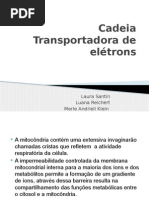 Cadeia Transportadora de Elétrons Apresentação