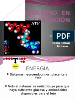 Metabolismo en La Gestacion