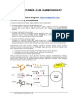 4-metabolisme_karbohidrat