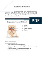 Anatomi Fisiologi Sistem Perkemihan