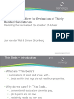 Evaluation of Thin Beds