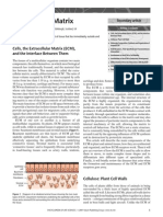 Extracellular Matrix journal.pdf