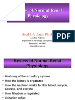 Renal Physiology