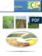 21st April, 2015 Daily Exclusive ORYZA Rice E-Newsletter by Riceplus Magazine