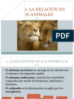La Relación en Animales2