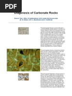 Diagenesis of Carbonate Rocks