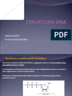 Struktura I Hem Osob DNA PDF