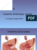 Patologia de La Uretra