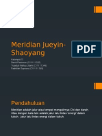 Meridian Jueyin-Shaoyang (KELOMPOK 5)