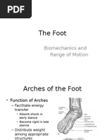 2  foot biomechanics and rom