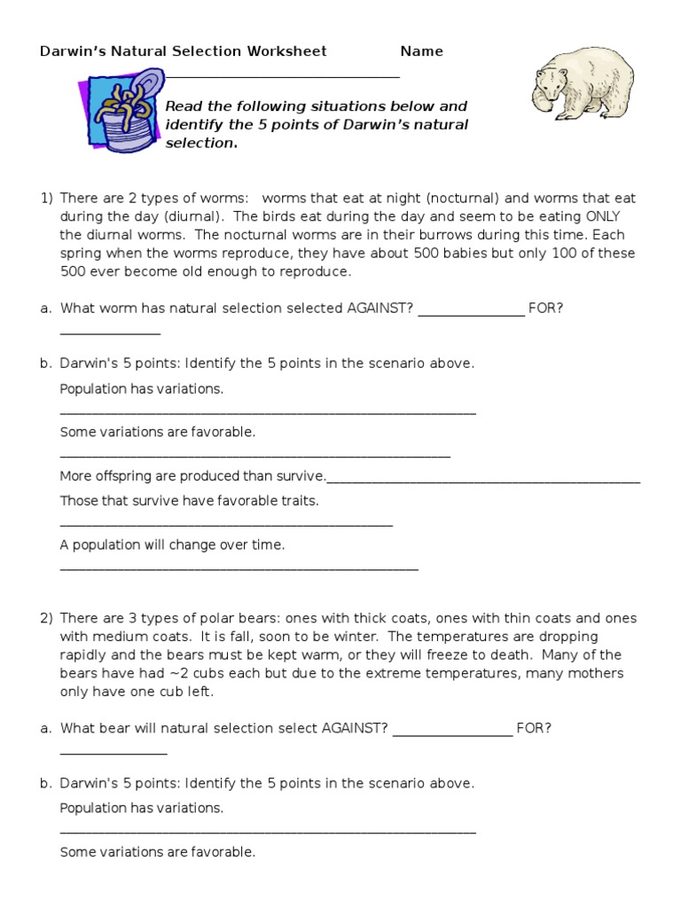 Es-23-Ws-Natural Selection-23  PDF  Natural Selection  Bears Inside Types Of Natural Selection Worksheet